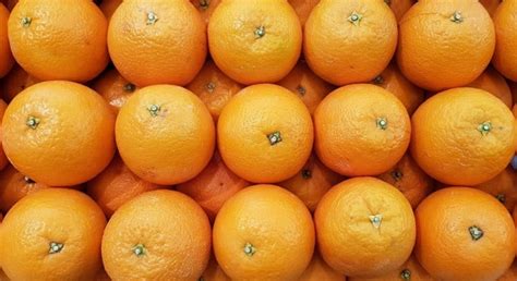 15 Delicious Tangerine Tree Varieties - ProGardenTips