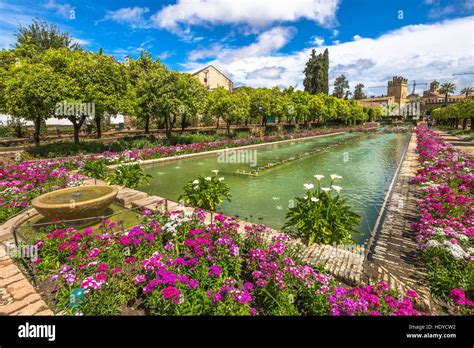 Gardens of Alcazar Cordoba Stock Photo - Alamy