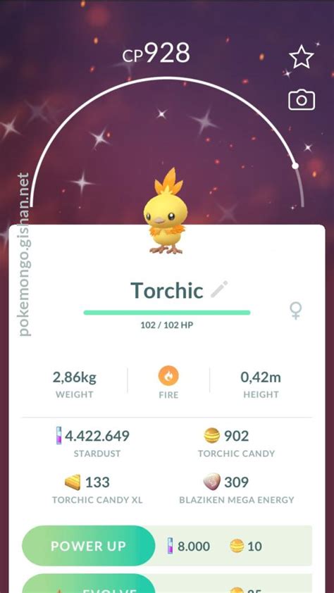 Shiny Torchic - Pokemon Go