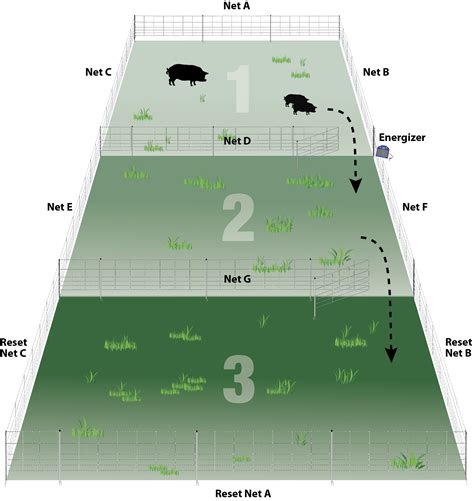 Practical Pasture Configurations for Rotational Grazing ...