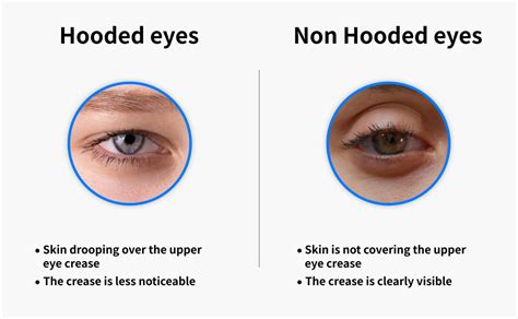 Hooded Eyes: Characteristics, Causes, and Practical Solutions | T ...