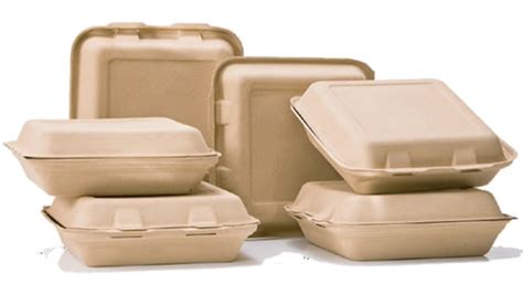 Biodegradable Packaging for Sustainable Food Storage