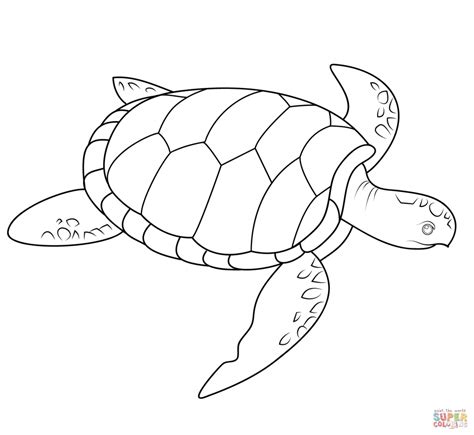 Hawaiian Turtle Coloring Pages at GetColorings.com | Free printable ...