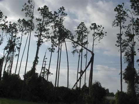 Hurricane Jeanne damage | Gulf High School