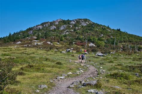 Mount Rogers - The Hoppy Hikers