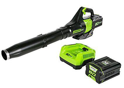 10 Best Battery Powered Leaf Blowers 2023: Cordless Simplicity