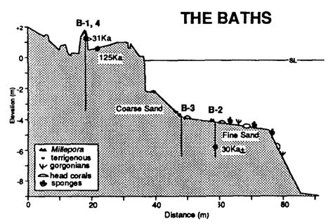 Cross section near the Baths. The locations of cores and three dated ...