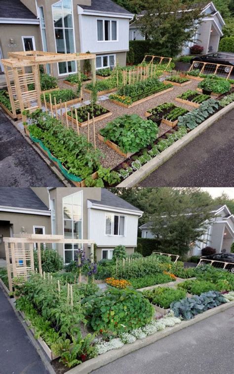 Vegetable Garden Layout Ideas