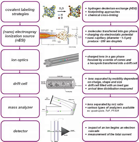 Summary of the possible mass spectrometry workflows available for ...