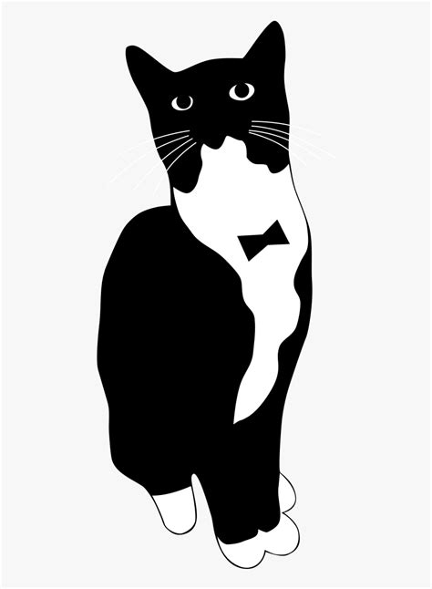 Easy Tuxedo Cat Drawing, HD Png Download is free transparent png image ...