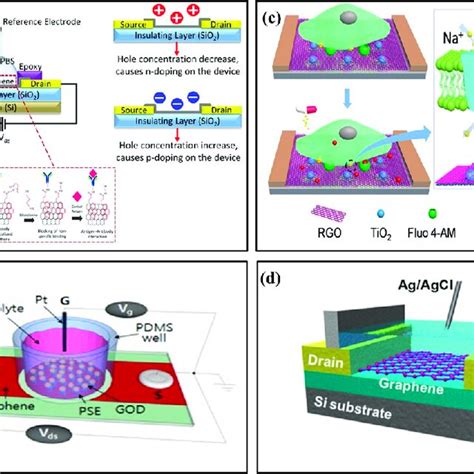 Examples of graphene field-effect transistor biochemical sensors. (a ...