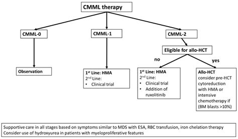 Cancers | Free Full-Text | Risk-Adapted, Individualized Treatment Strategies of Myelodysplastic ...