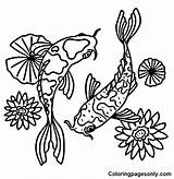 Koi Fish Coloring Pages Japanese Drawing Carp Outline Tattoo Template  sketch template