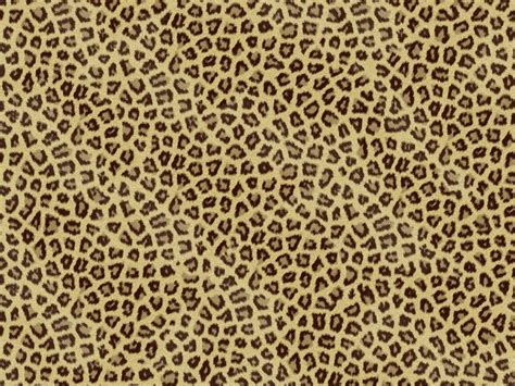 Cheetah Print Wallpapers - Top Free Cheetah Print Backgrounds - WallpaperAccess