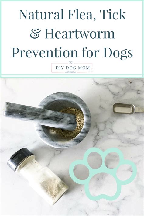 My List of All Natural Flea/Tick & Heartworm Remedies for Dogs | The DIY Dog Mom | Heartworm ...