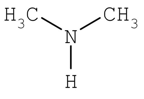 Dimethylamine Lewis Structure