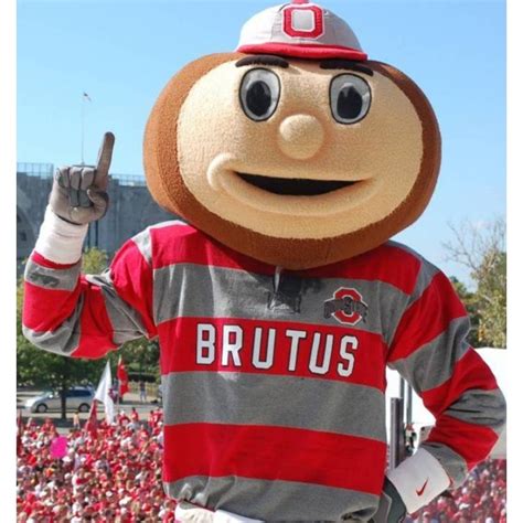 Ohio State University Brutus Buckeye Mascot Costume