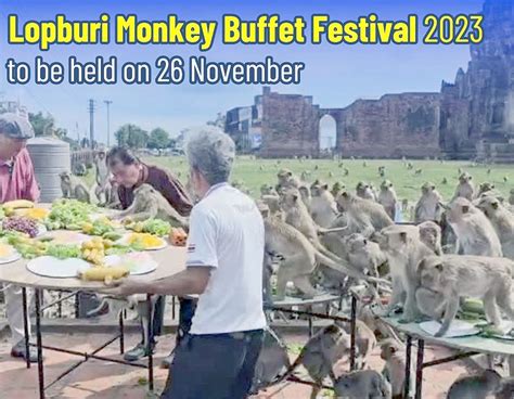 ‘Lopburi Monkey Buffet Festival 2023’ this Sunday - Pattaya Mail