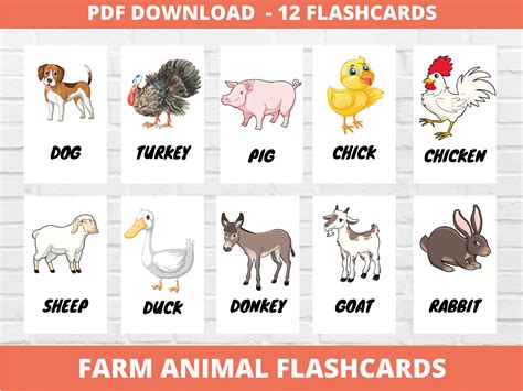 Farm Animal Flashcards, Kindergarten Preschool Printable Flashcards for ...