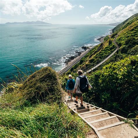 Top 5 trails in the Wellington region - WellingtonNZ