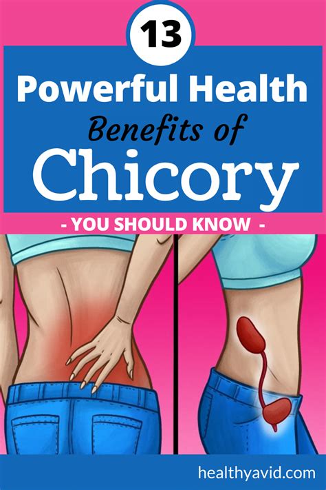 13 Powerful Health Benefits of Chicory You Should Know