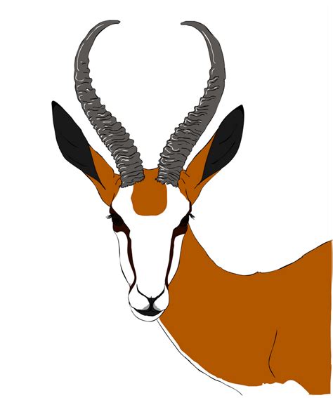 Springbok by tha-baist on DeviantArt