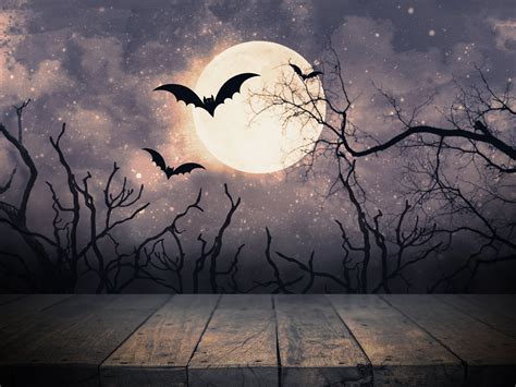 Night Moonlight Flying Bats Forest Halloween Photography Backdrops DBD ...