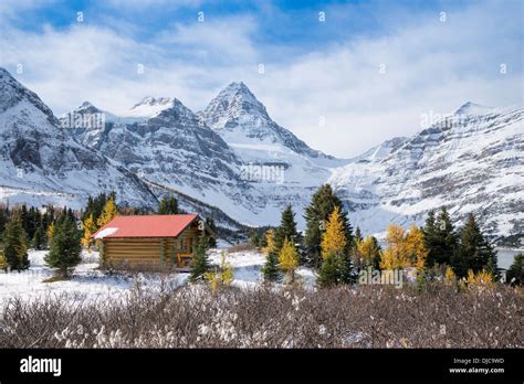 Cabin of Mt Assiniboine Lodge, Mount Assiniboine Provincial Park ...