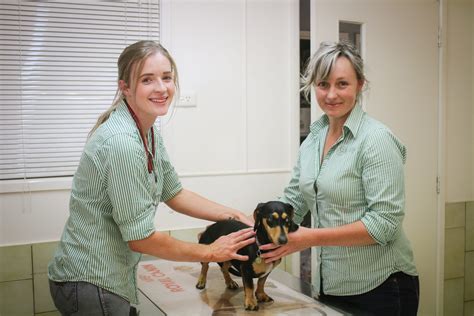 Offering a wide range of Dog & Cat veterinary services