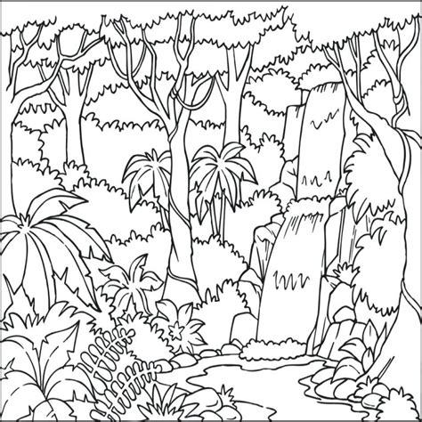 Tropical Rainforest Coloring Pages at GetColorings.com | Free printable colorings pages to print ...