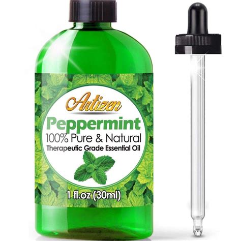 5 Ways to Use Peppermint to Get Rid of Mice - Disinpest