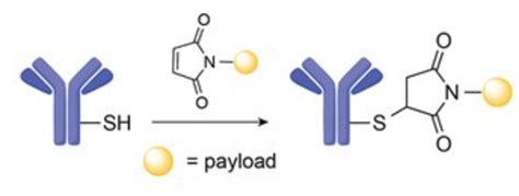 Protein Conjugation Chemistry - Theory and Examples - SciGine