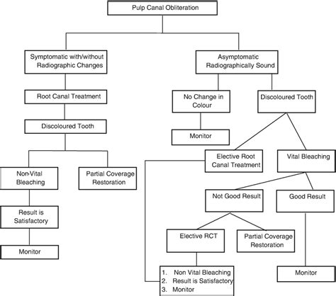 Diagnosis and Treatment Planning | Pocket Dentistry