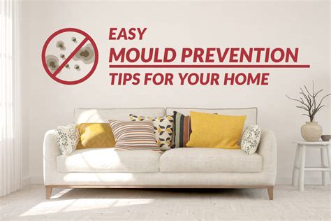 Easy Mould Prevention Tips For Your Home Mould... - HORME.SG Blog