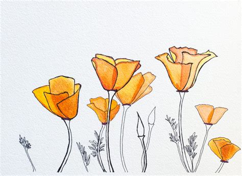 Image Result For California Poppy Art Poppy Drawing California Poppy ...