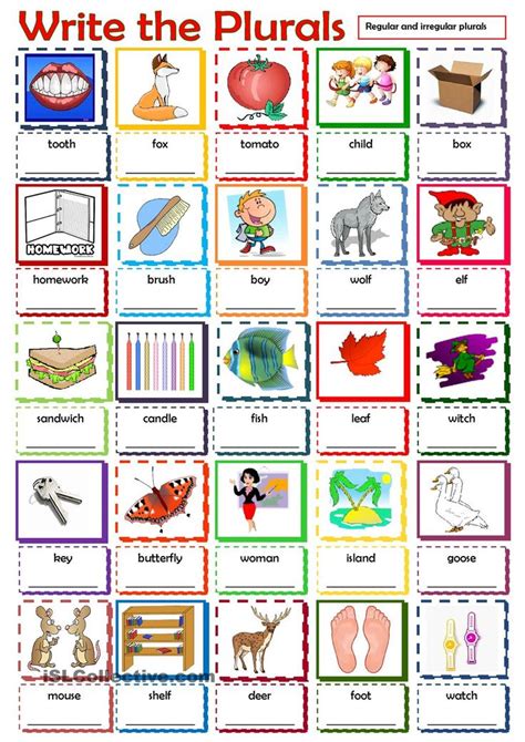 Write the Plurals | Plurals, Plural nouns, Plurals worksheets