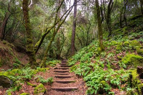 Discover the Best Sonoma County Hiking Trails