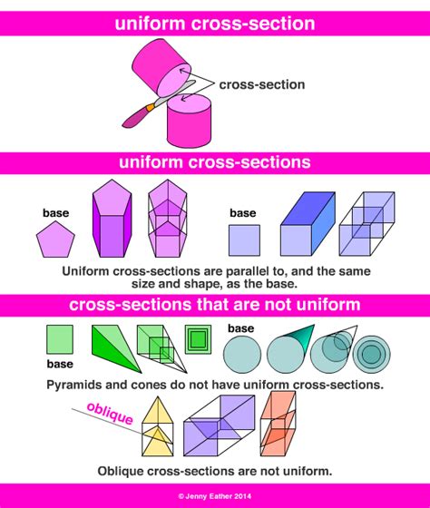 Cross Section Worksheet - Bank2home.com