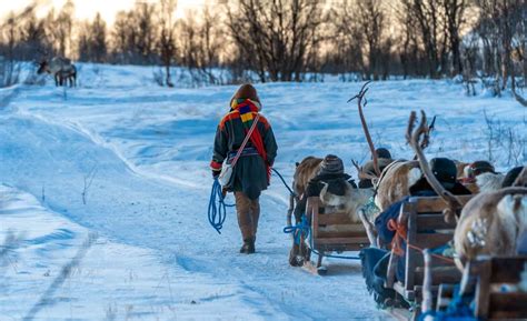 All About the Sami People: Indigenous Norwegians