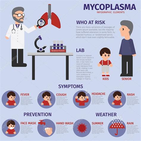 Mycoplasma disease infographic. — Stock Vector © pplovely632.gmail.com ...