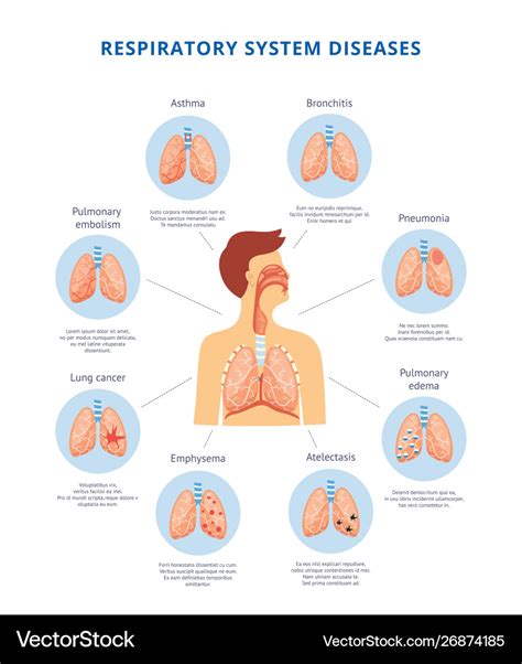 Types Of Respiratory System Disorders - Design Talk