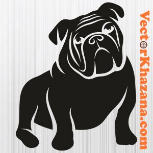 British Bulldog SVG | English Bulldog PNG | Bulldog vector File