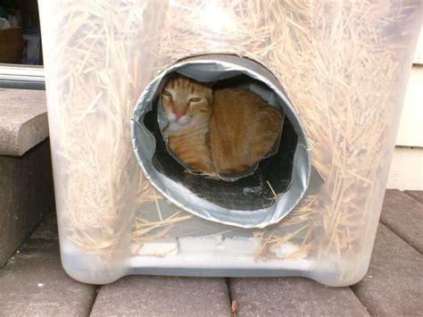 cat houses for outside for winter | The Very Best Cats | Outdoor cat ...