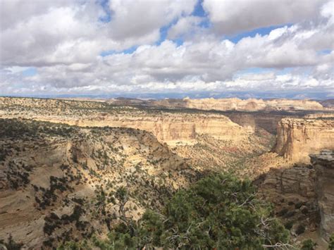 Red Rocks of Utah - Leash Your Fitness