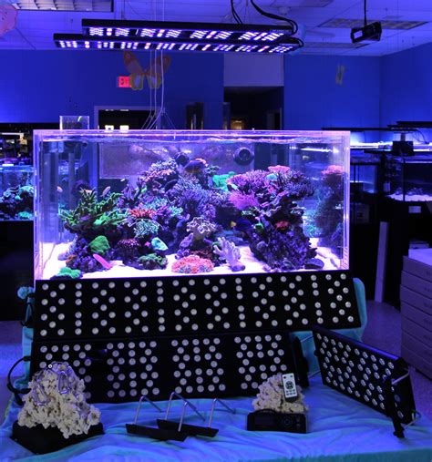 SeaLife LED Aquarium Lighting Review