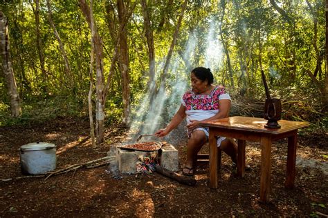 A compendium of Yucatecan words to 'animate' the Mayan culture - Pledge ...