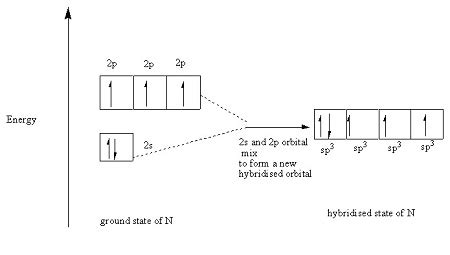 Experimental evidence suggests that the nitrogen atom in ammonia, NH3, has four identical ...