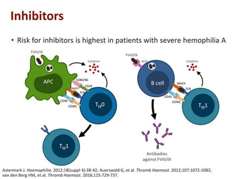 Addressing Challenges in Factor VIII Inhibitors in Children With ...