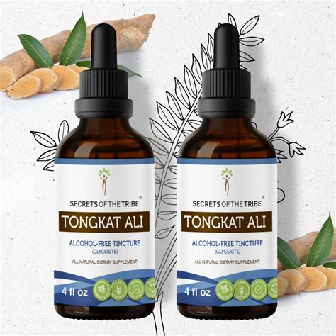 Tongkat Ali Tincture Alcohol-FREE Extract, Wildcrafted Tongkat Ali ...