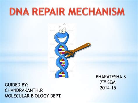 DNA repair mechanism